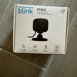 Blink Mini 2 