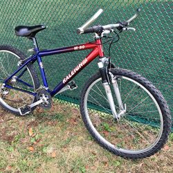 Raleigh M-80 Mountain Trail MB