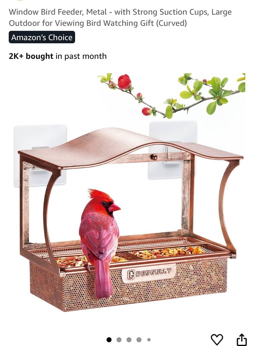 Window Bird Feeder