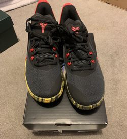 Kobe Mamba Fury