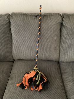 Witches Broom