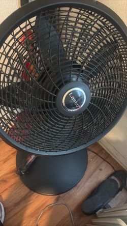 Big fan