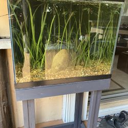 60 Gallon Aquarium And Stand
