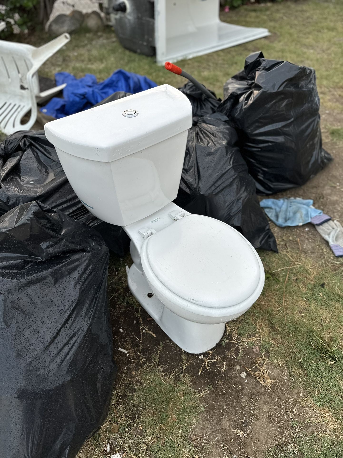 Niagara Toilet