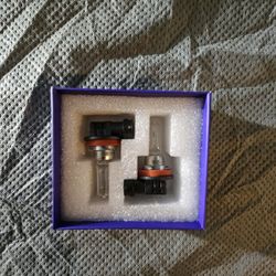 H9 Halogen Headlight Bulbs