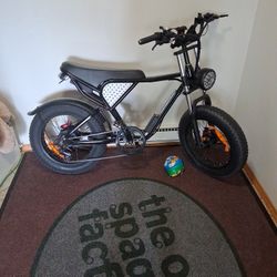 Ridstar Pro Phat Tire Full Suspension E Bike