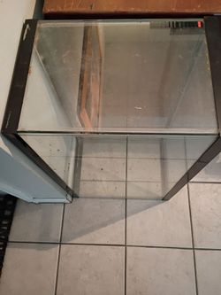 35 gallon aquarium