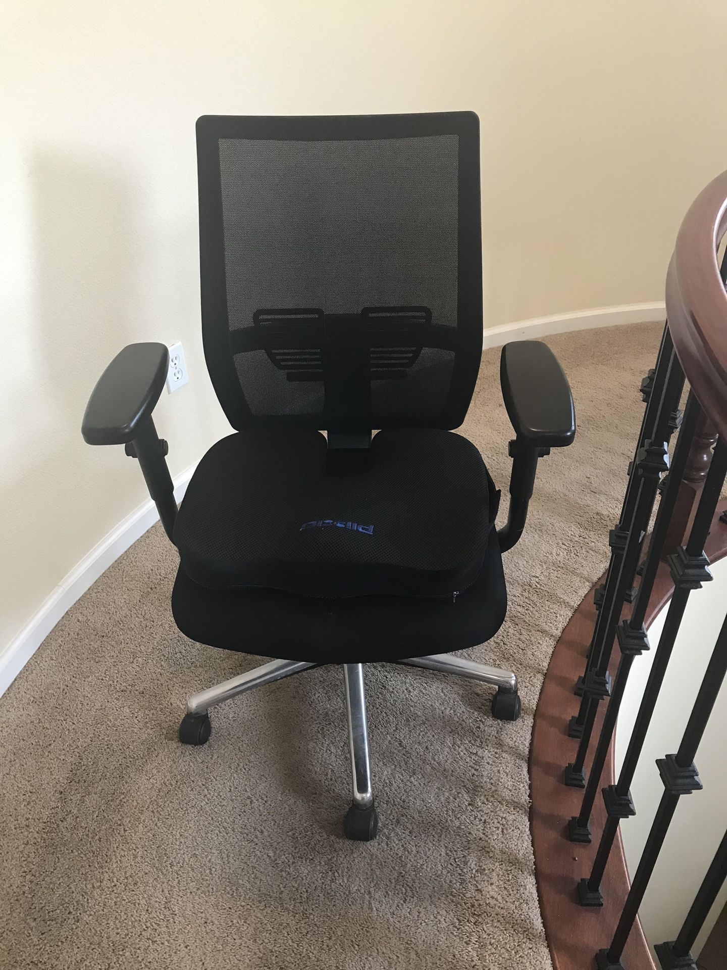 Desk Chair And Cushion 