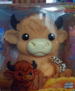 Highland cow