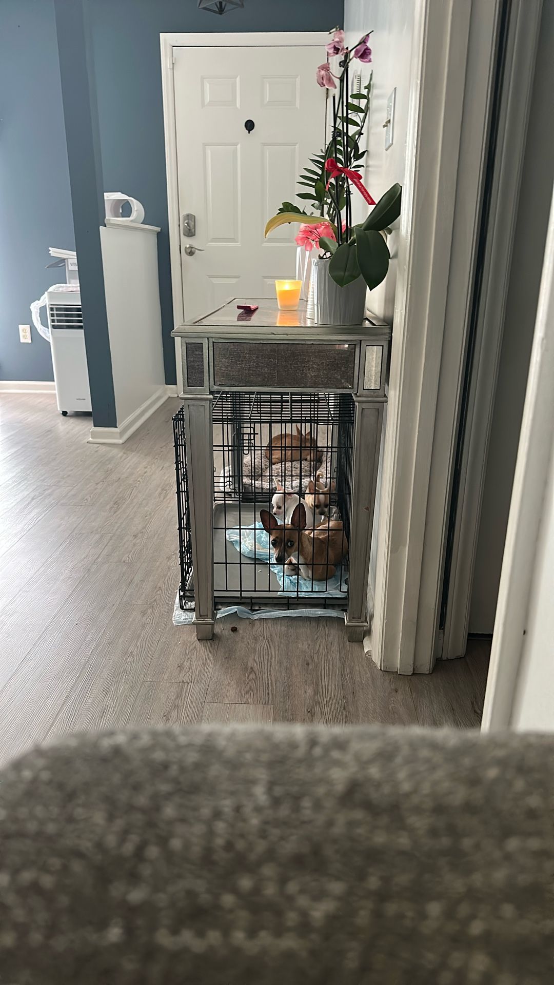 Crate 