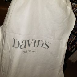 Wedding dress bag