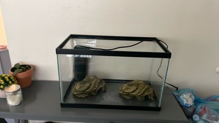 Fish tank