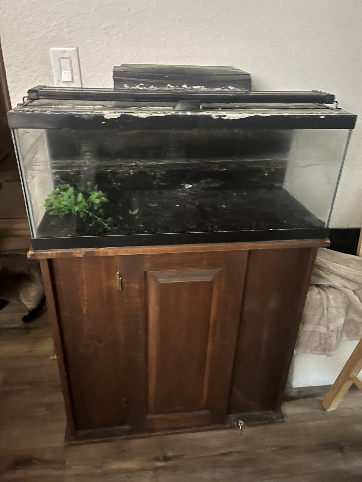 20 Gallon Fish tank And Stand 