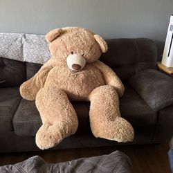 Large Teddy 