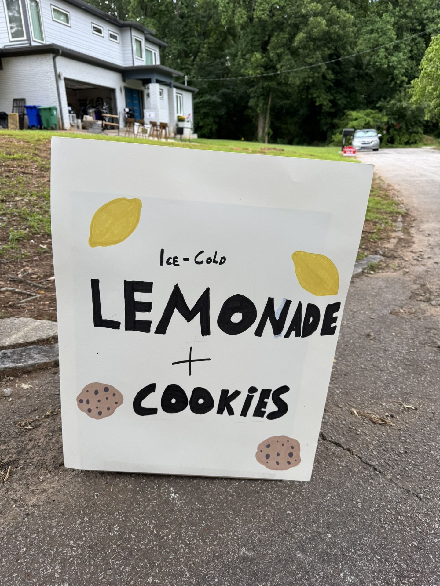 Moving sale +Lemonade + Cookies + Crafts