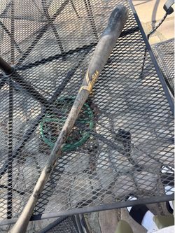 Victus wood bat
