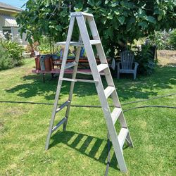 Six Foot Step Ladder Aluminum 6'