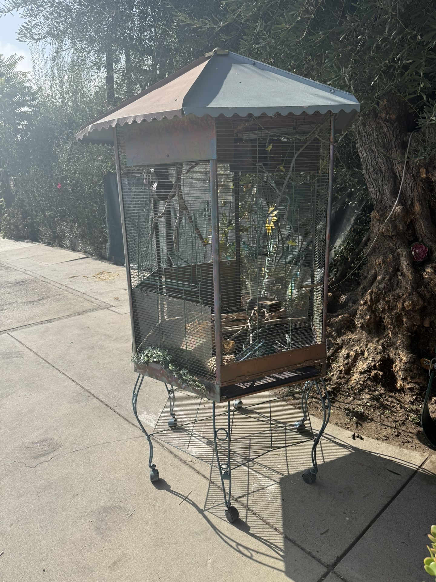 Bird Cage