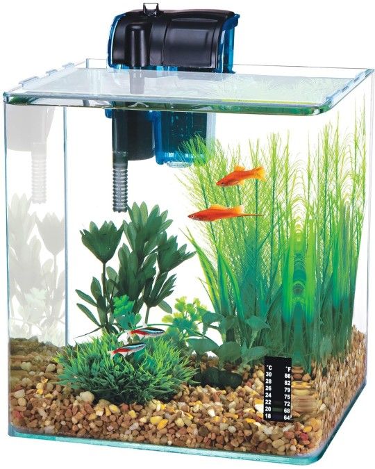 2.7 Gallon Curved Frameless Fishtank. Filter And Heater Included *🚚FAST SHIPPING🚚*