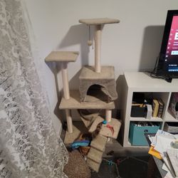 Cat Tower/condo