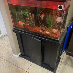 30 Gallon Fish tank and cabinet