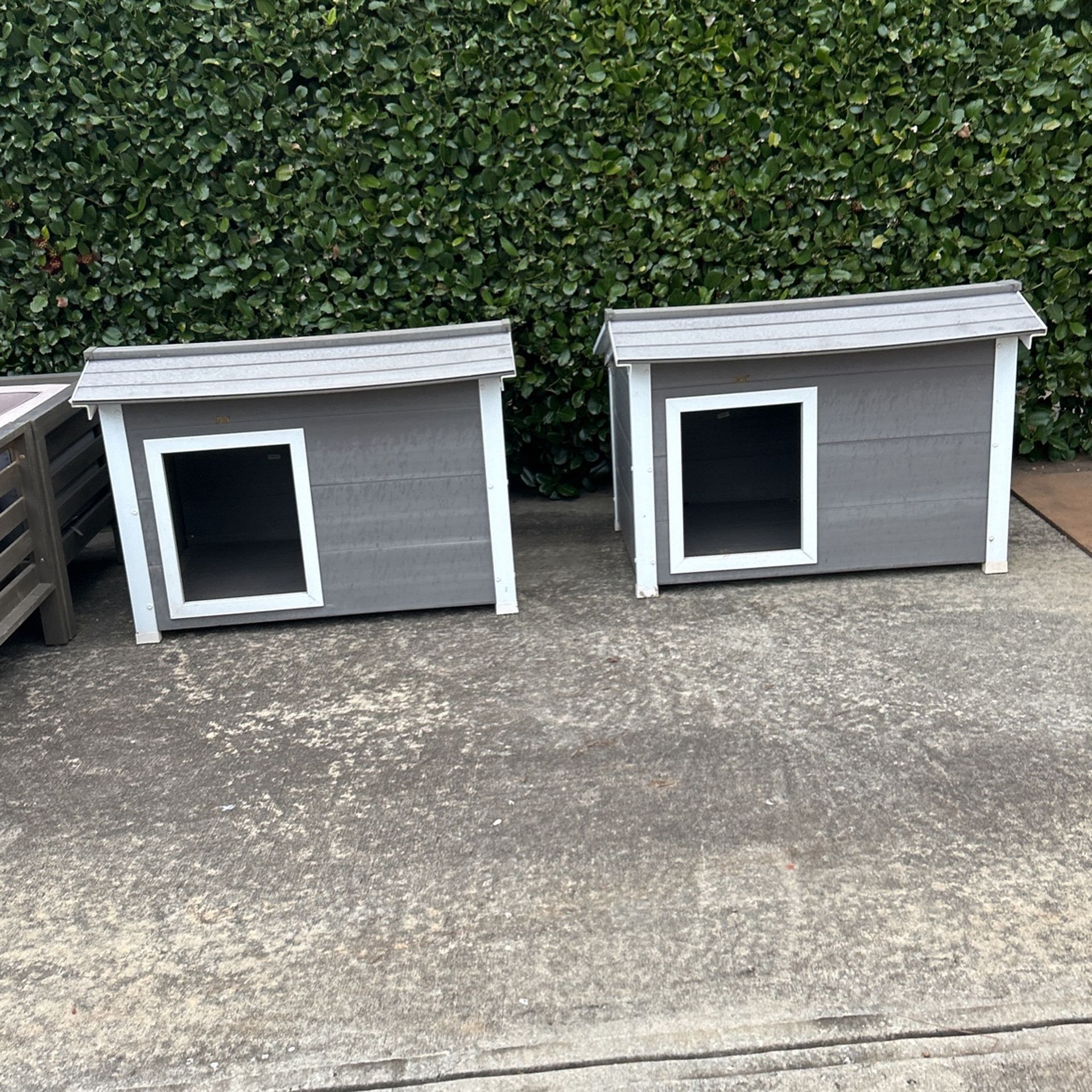 Large Dog House