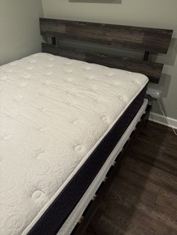 Queen Size Bed, Mattress, and Box Spring