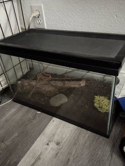 Tank