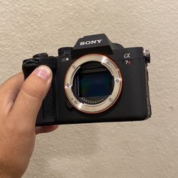 Sony A7rv 