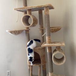 Cat Tree