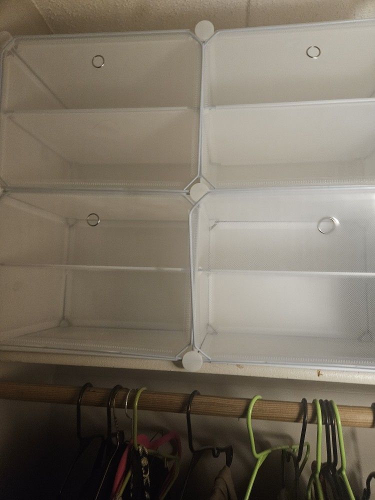 Enclosed Shoe Organizer 