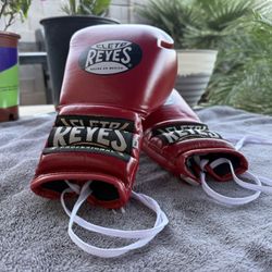 Cleto Reyes 14 oz Boxing Gloves – Professional Leather (Mexico)