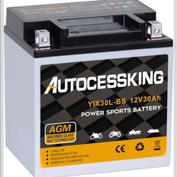 Autocessking YTX30L-BS Motorcycle Battery, 12V 30AH Rechargeable Maintenance Free Sealed AGM Battery Powersport Replacement Battery for ATV and Scoote