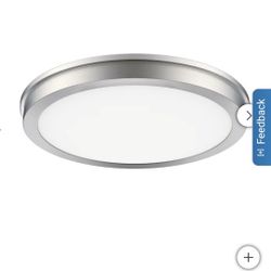 Energetic 14” Slim LED Flush Mount Light Fixture