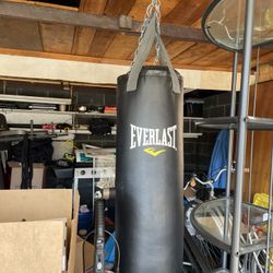Everlast Punching Bag 