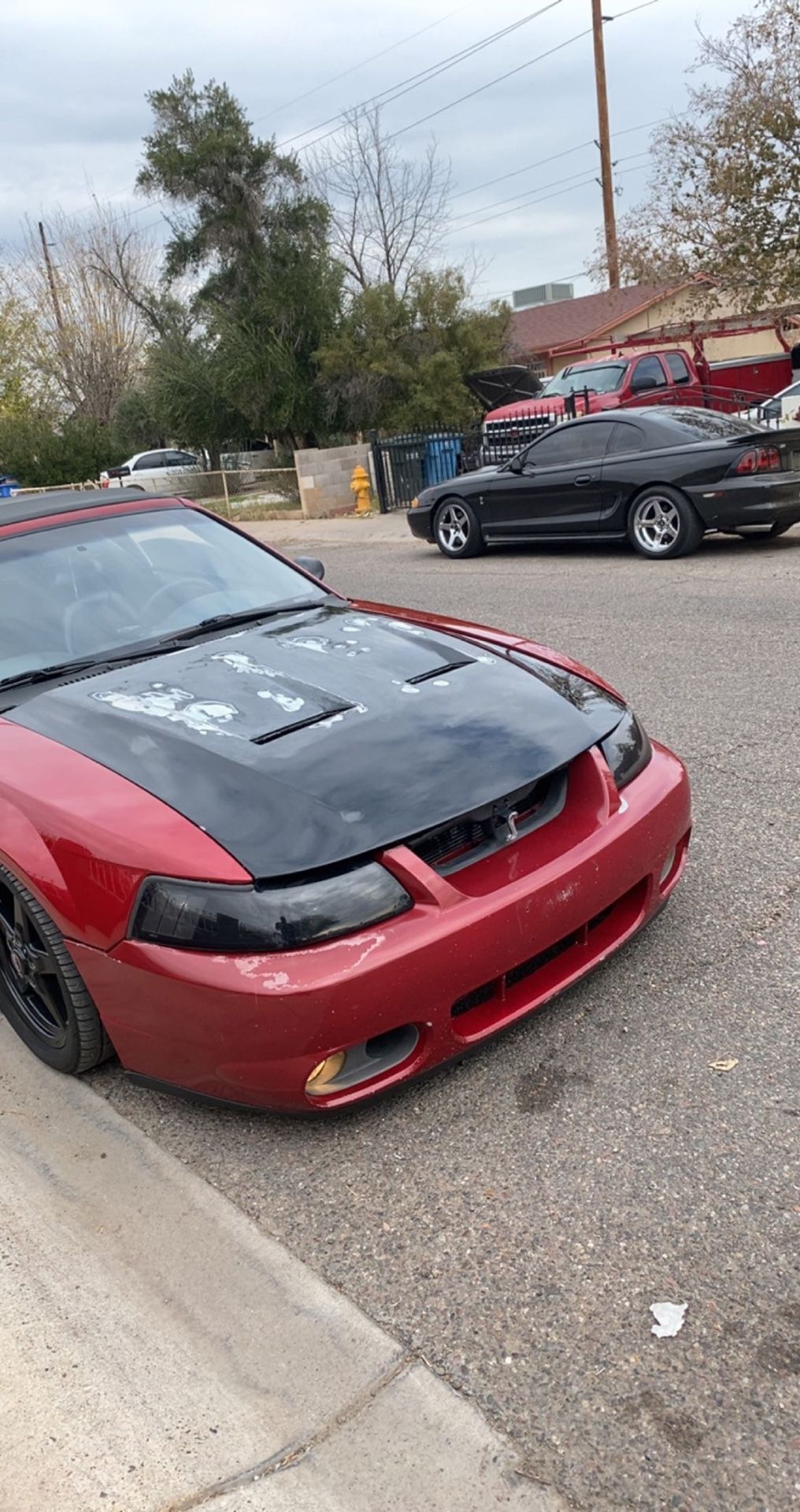03/04 Cobra Terminator Hood Oem