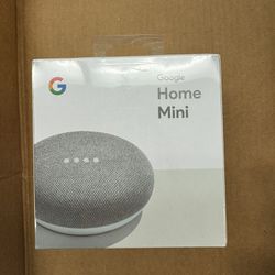 Google Mini Home 1st Gen