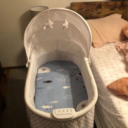 Delta Bassinet 