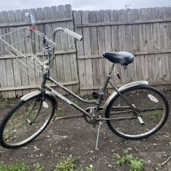 Vintage Cruiser Bike 