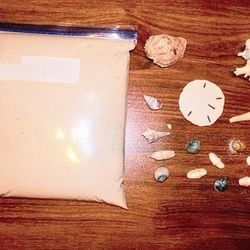 White Beach Sand And Gorgeous Seashells And Sand Dollar Art Decor Set