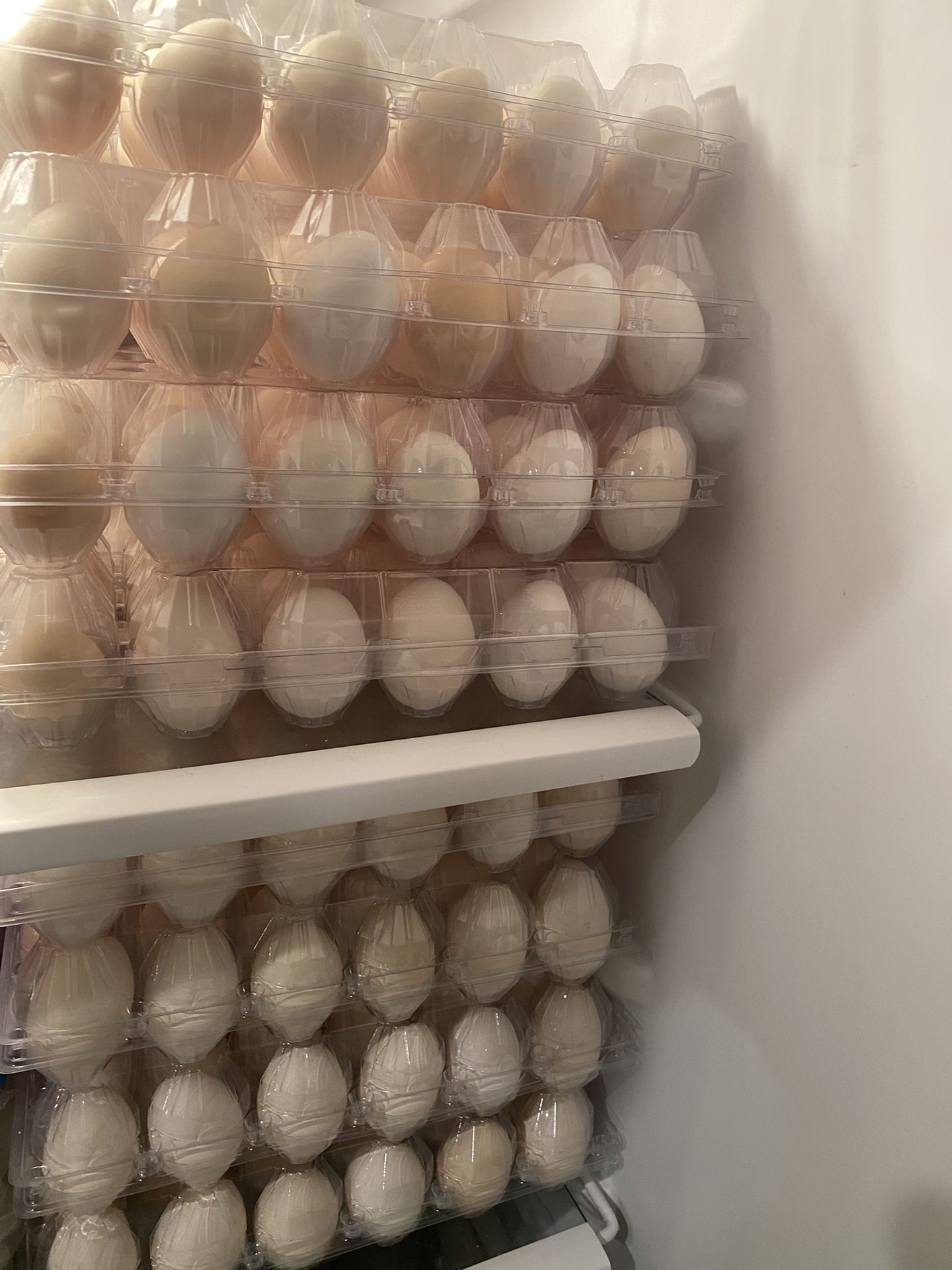 EGGS WASHED FARM FRESH 8$ 18 Count