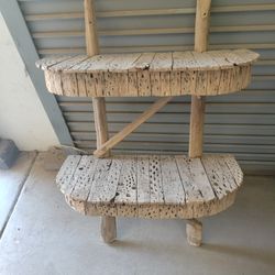 Cholla And Sahuaro Wood Shelf