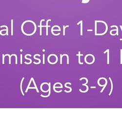 2 Kids Disneyland Tickets 