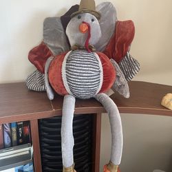 Turkey’s Shelf’s Sitter