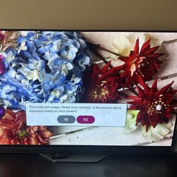 LG OLED 55 Inch Tv