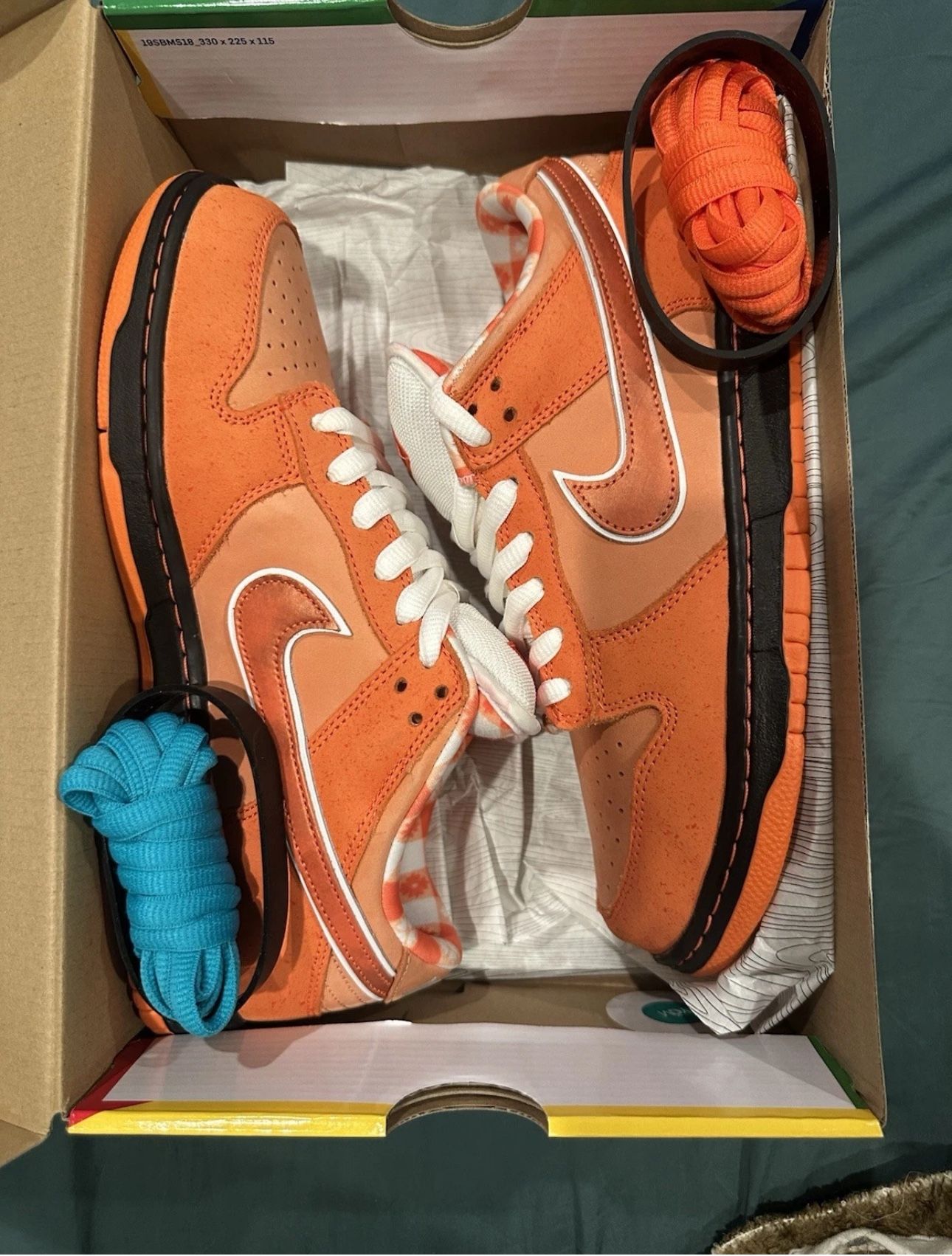 Nike Sb Orange Lobster 9.5