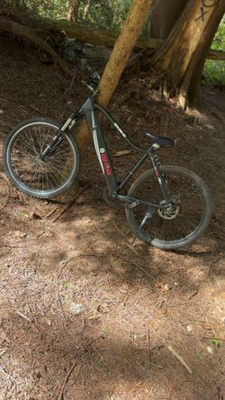 Go Trax Super sport electric bike