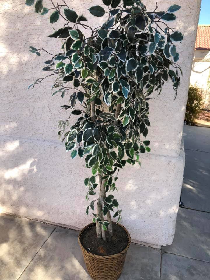Plastic indoor tree