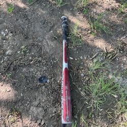 Bat