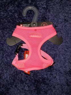 Small Dog Harness 🐕